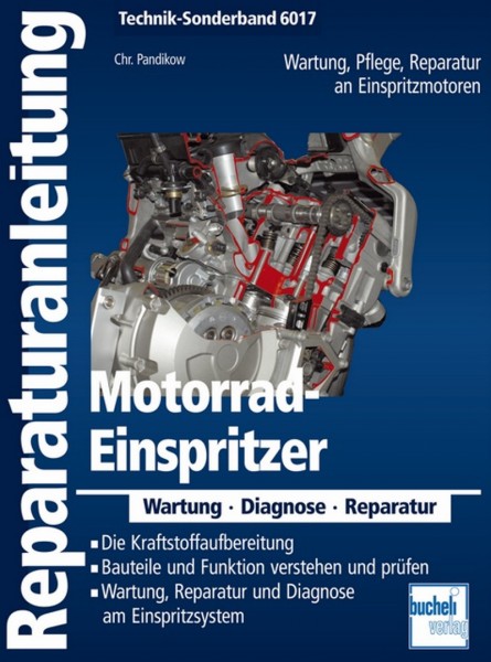 Motorrad Einspritzer - Reparaturanleitung